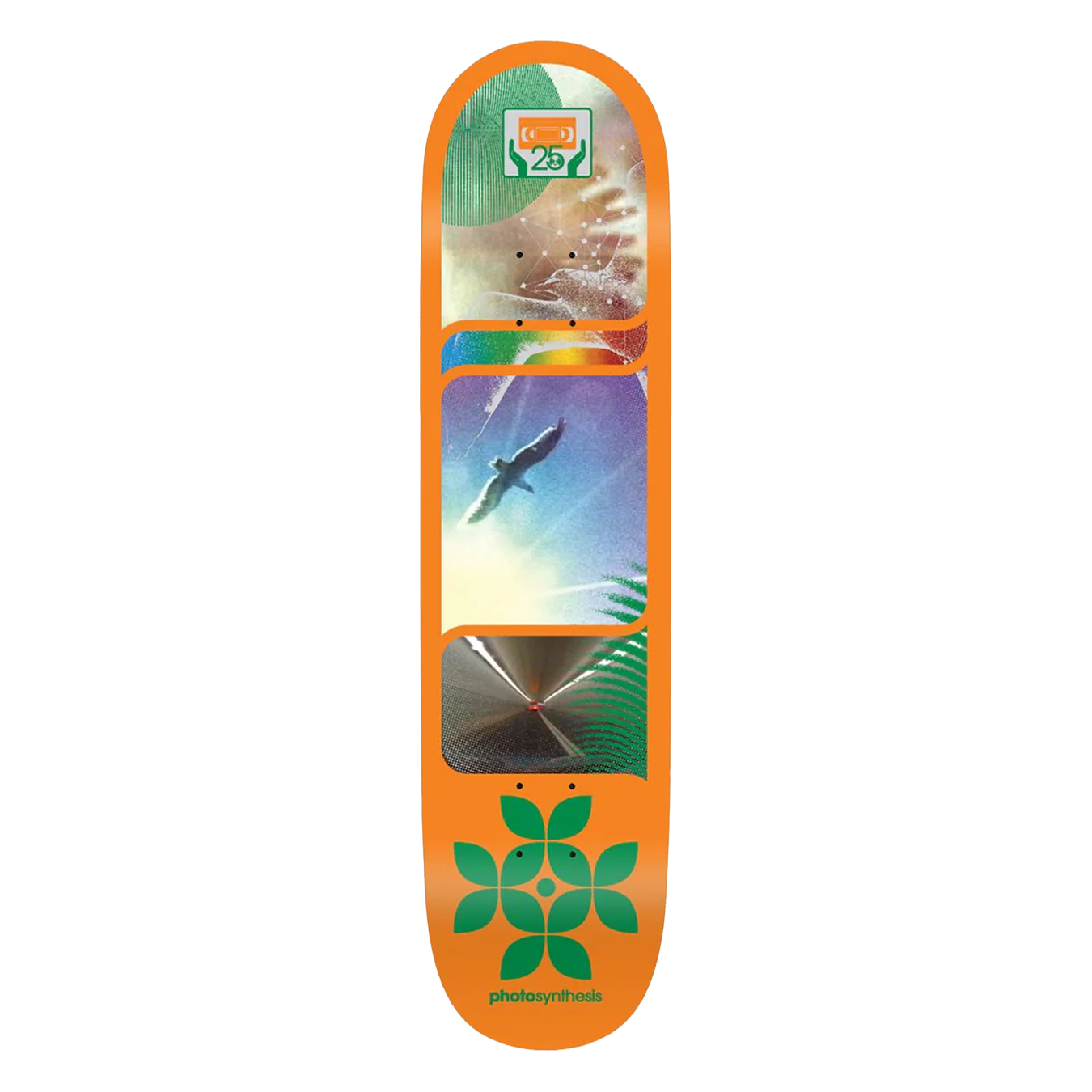 Photosynthesis Deck